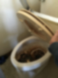 IMG_1902.JPGのサムネイル画像